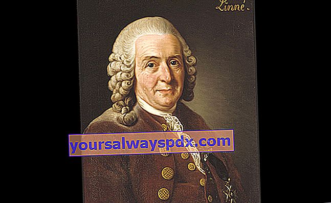 Carl von Linné, all'origine della nomenclatura binomiale