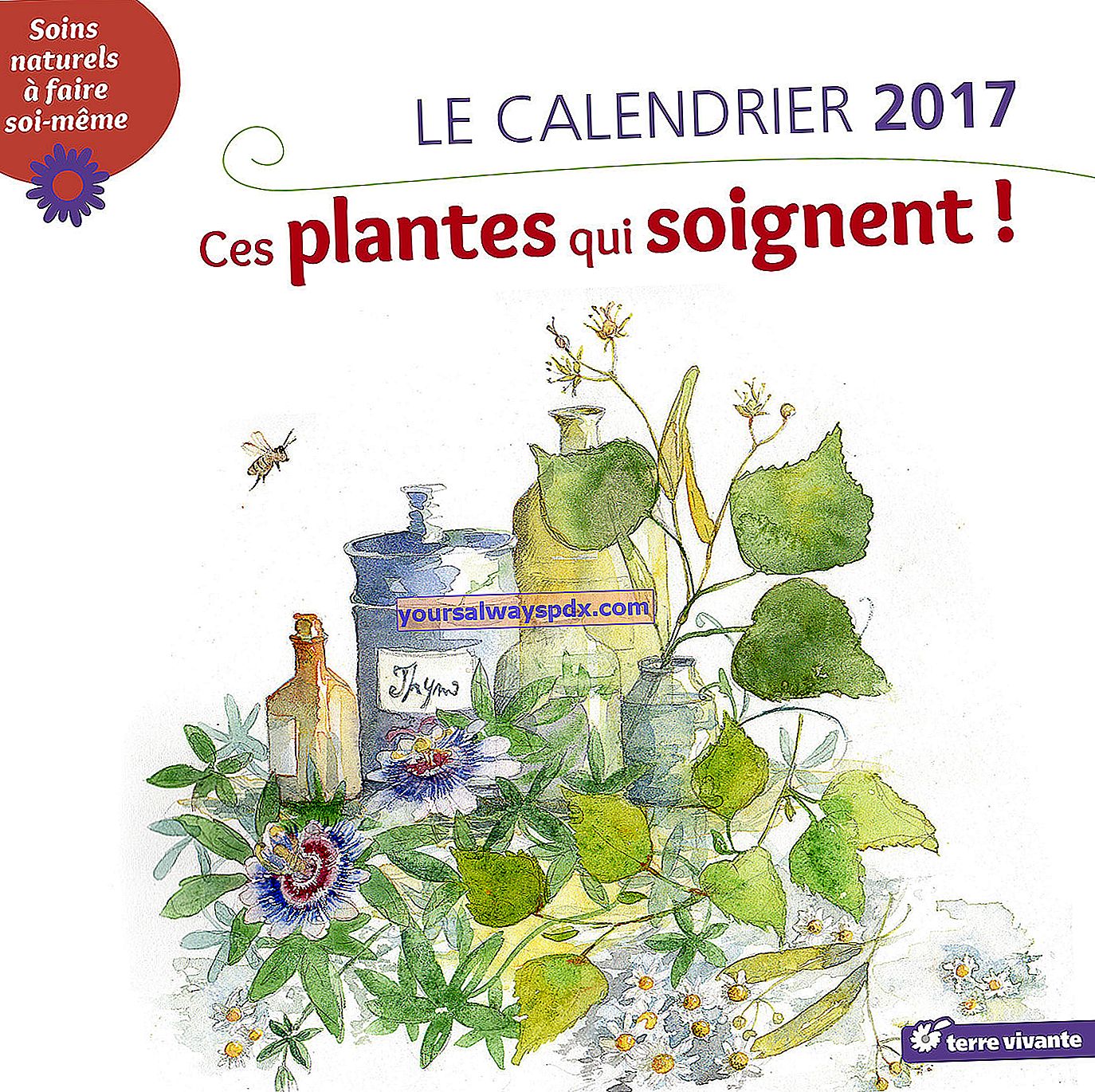 Il calendario da parete delle piante curative 2017