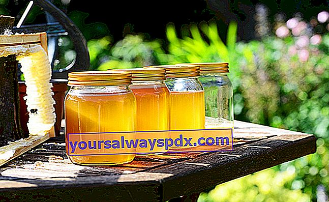 100% økologisk honning