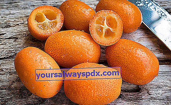 Kumquat confit med sukker