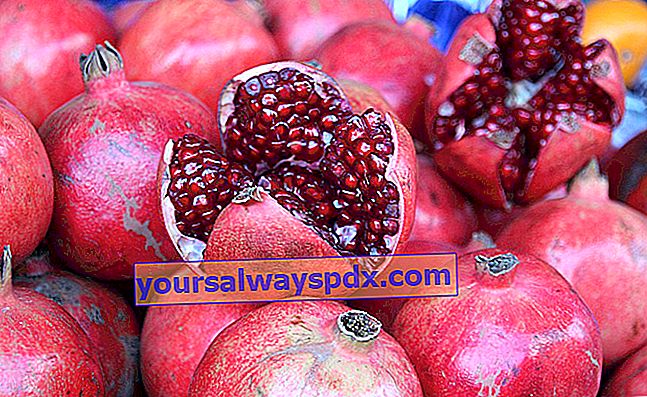 granatæbler efter smag med papirmasse og frø
