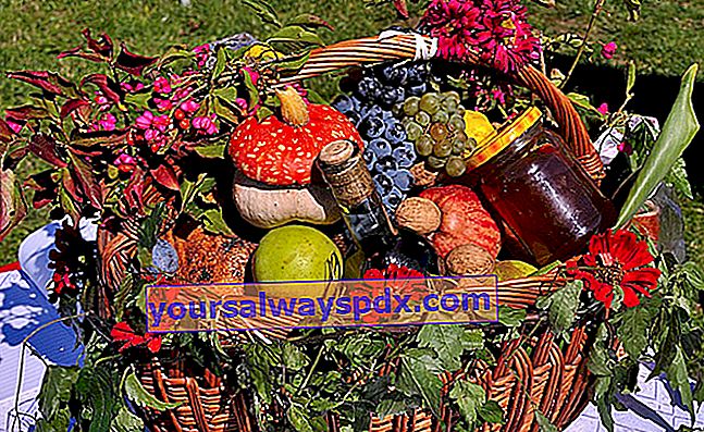 sekeranjang sayuran untuk Saint Fiacre