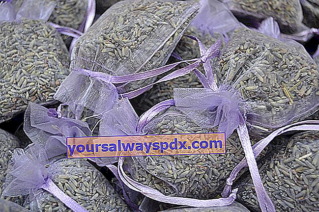 bungkus lavender untuk cucian parfum