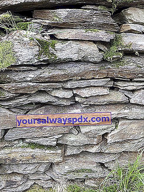 muro di pietra a secco