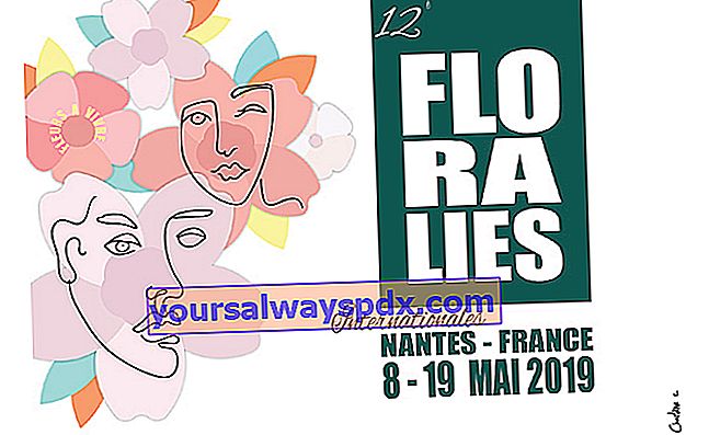 Floralies Internationales de Nantes dall'8 al 19 maggio 2019