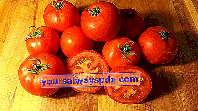 Tomatenmarkt Wunder