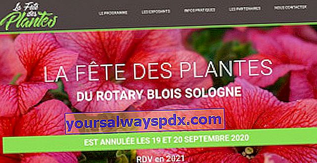 Pflanzenfest 2020 Rotary Blois Sologne Cheverny in Chailles (41)