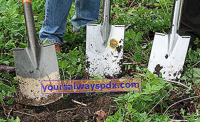 Der Spaten: Werkzeug zum Wenden des Bodens im Garten