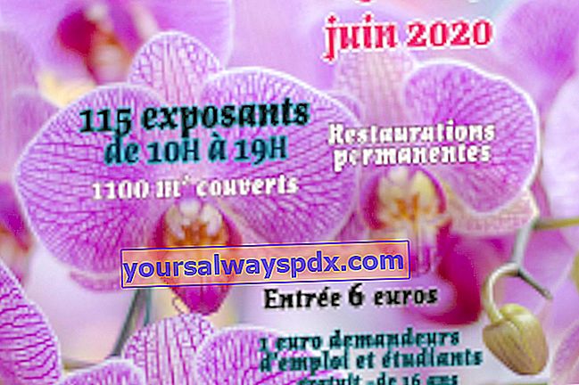 42 ° Festival delle piante e dei giardini al Domaine de Péré (79)