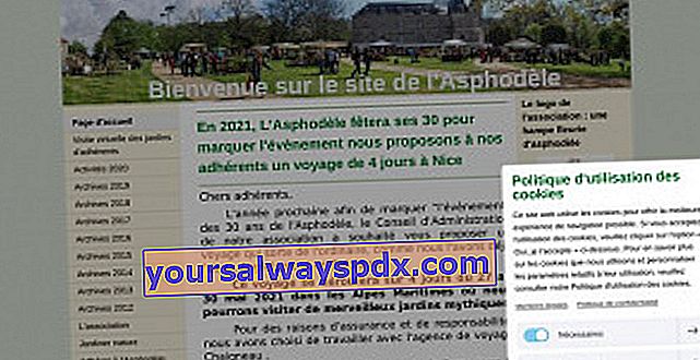เทศกาลพืช Asphodel ครั้งที่ 19 - La Roche-sur-Yon (85)