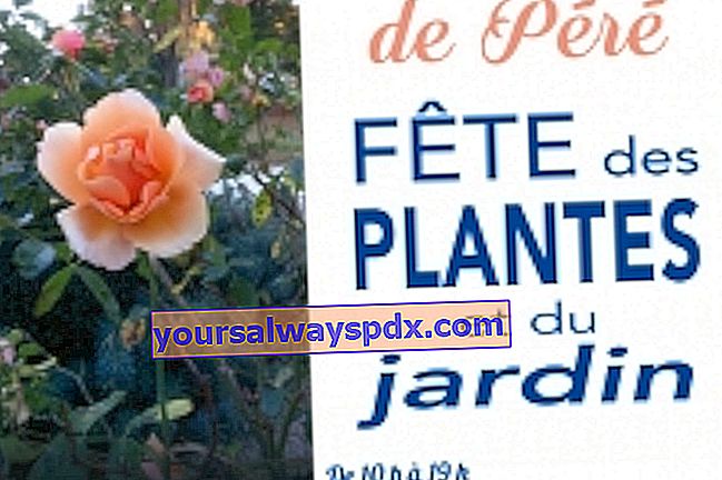 Pesta tanaman dan kebun estet Péré di Prissé-la-Charrière (79)