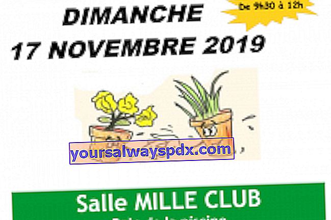 Troc'Plantes 2019 in La Roche-de-Glun (26)