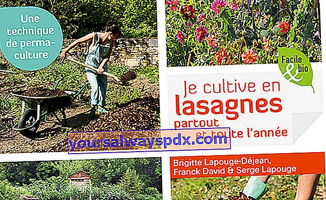 Saya menanam lasagna di mana sahaja dan sepanjang tahun dari Brigitte Lapouge-Déjean dan Franck David 