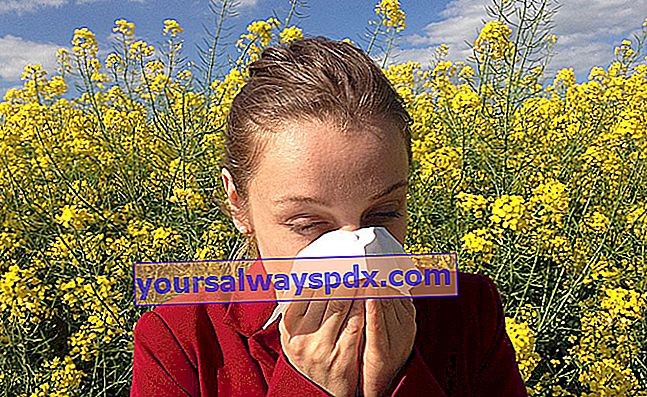 Allergie voor pollen