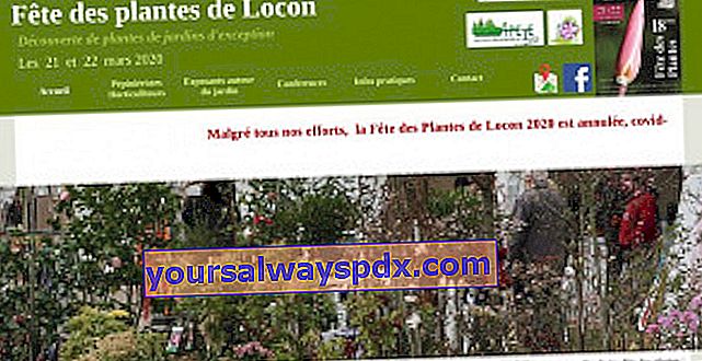 Festivalul Plantelor 2019 în Locon (62) 