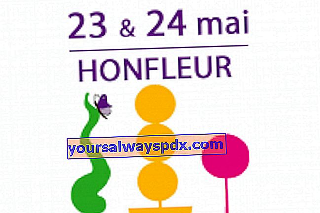 Passionently Garden Fair 2020 di Honfleur (14)