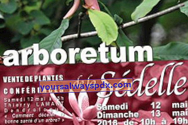 Autumn Plant Days 2018 di Arboretum de la Sédelle - Crozant (23)