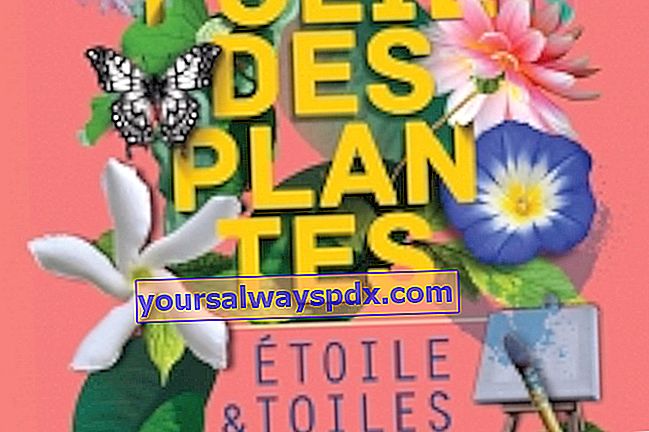 Folie des Plantes 2017 di Nantes (44)