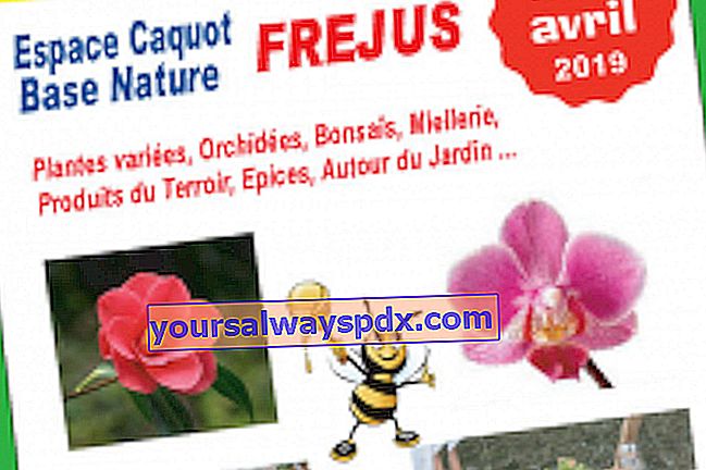 Jualan Ekspo Tumbuhan, Alam & Terroir Pertama di Fréjus (83)