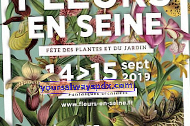 Flowers in the Seine 2019 - Les Mureaux (78)