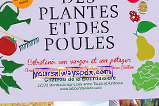 25. növény- és csirkefesztivál a La Bourdaisière-ben - Montlouis-sur-Loire (37)