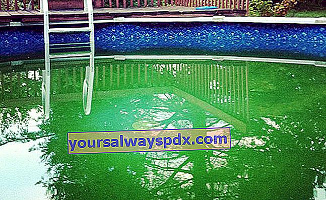 Vandet i din pool er grønt: her skal du handle