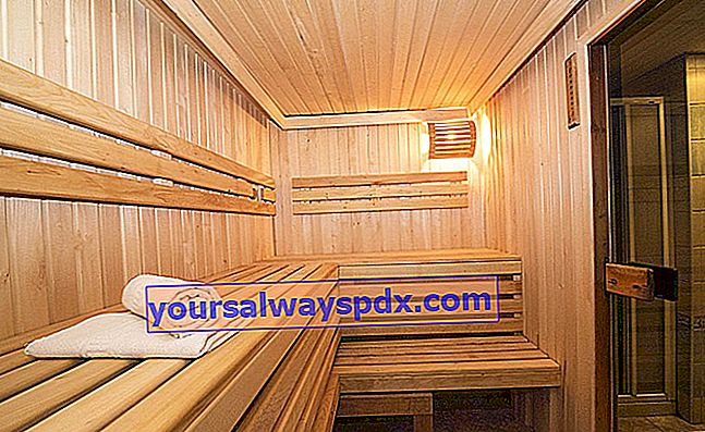 Sådan vælger du din sauna: rådgivning, modeller og omkostninger