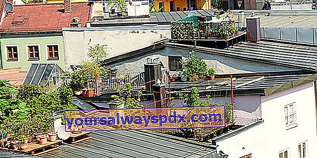 Dachterrasse: Vor- und Nachteile, Nutzungsideen