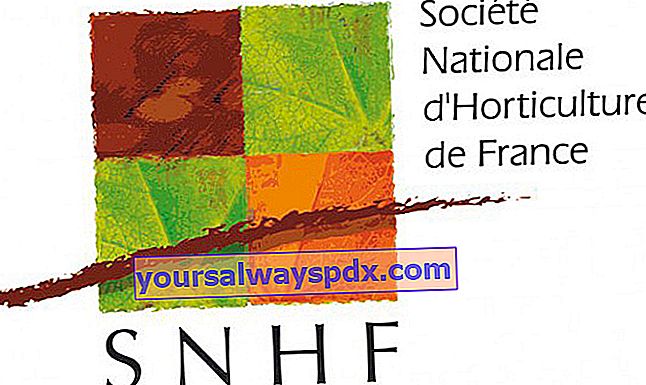 National Horticultural Society of France (SNHF)