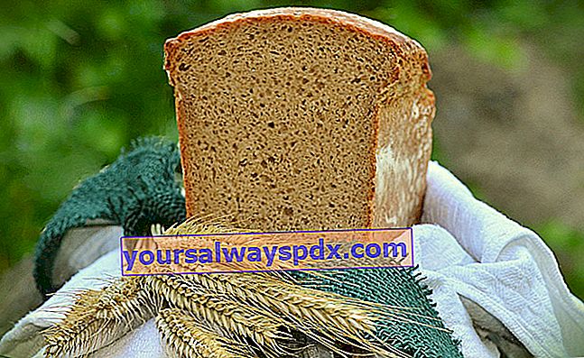 Gerstenmehl in Brot