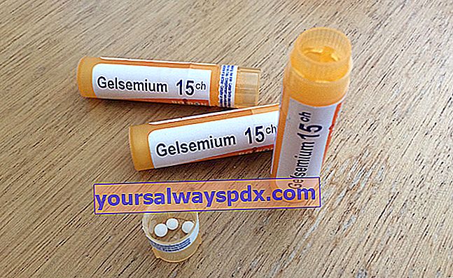 Gelsemium sempervirens ซึ่งเป็นที่นิยมในธรรมชาติบำบัด