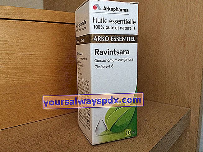 ätherisches Öl von Ravintsara (Cinnamomum camphora)