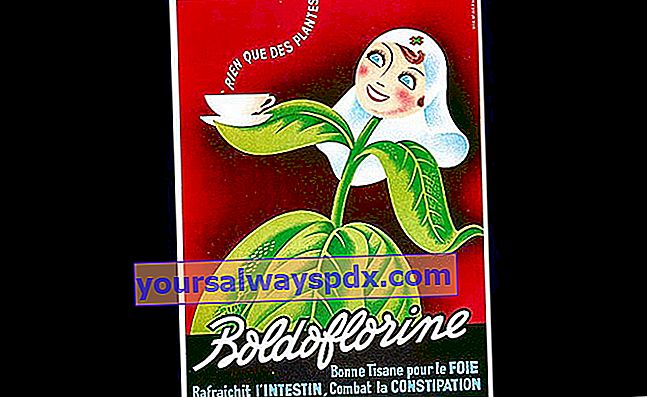 בולדופלורין, בולדופלורין, תה הצמחים המתאים לכבד 