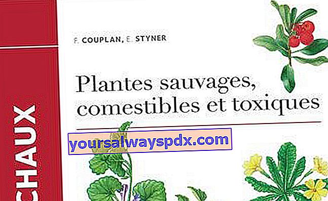 François Couplan의 야생, 식용 및 독성 식물