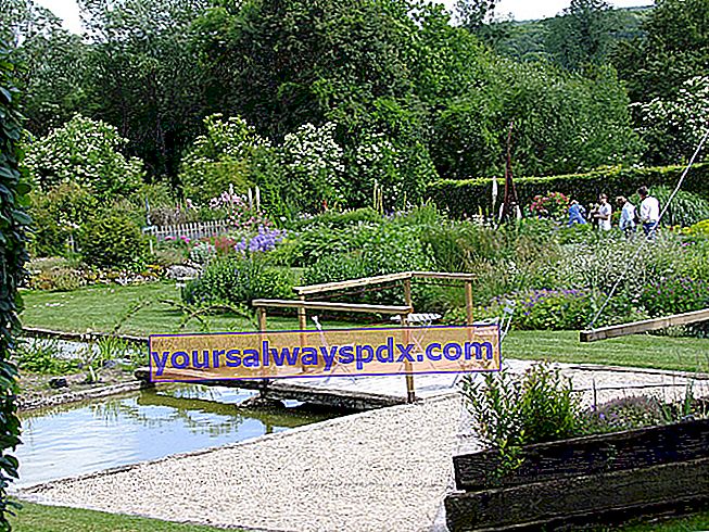 Besucher des Presle Botanical Garden