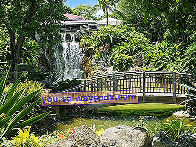 Deshaies Botanischer Garten (Guadeloupe)