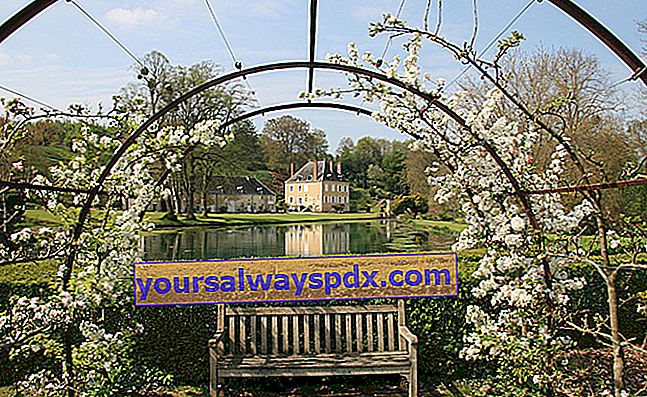 Trädgården till Plessis Sasnières - Loire-et-Cher (41)