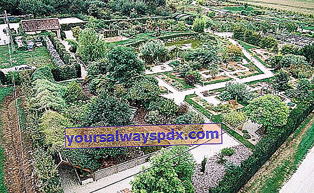 הגן הבוטני של מרניי-סור-סן (אייב)