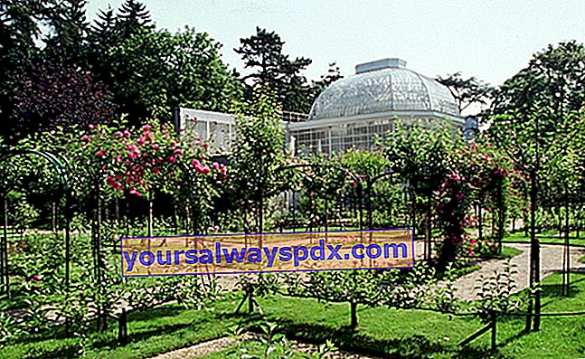 アルバートカーン博物館の庭園-オードセーヌ（92）